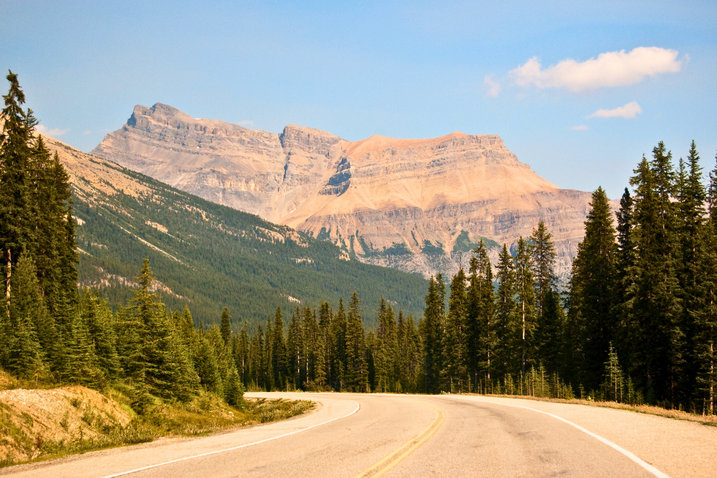 icefields parkway, alberta (3).webp